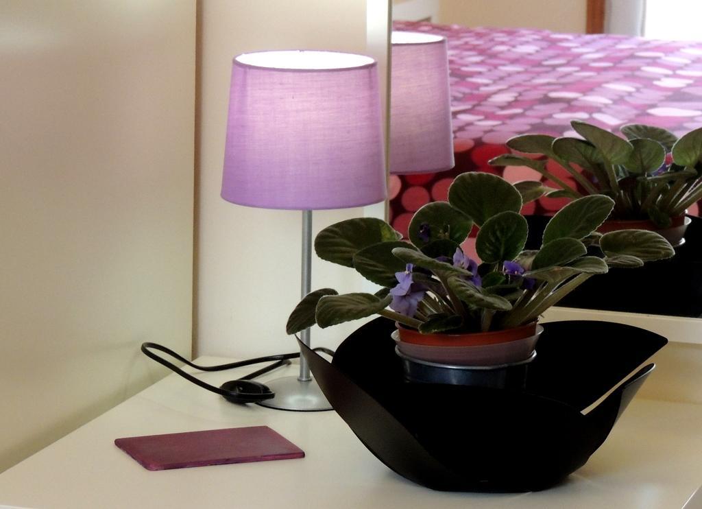 B&B Il Rosso E Il Nero Zafferana Etnea Εξωτερικό φωτογραφία