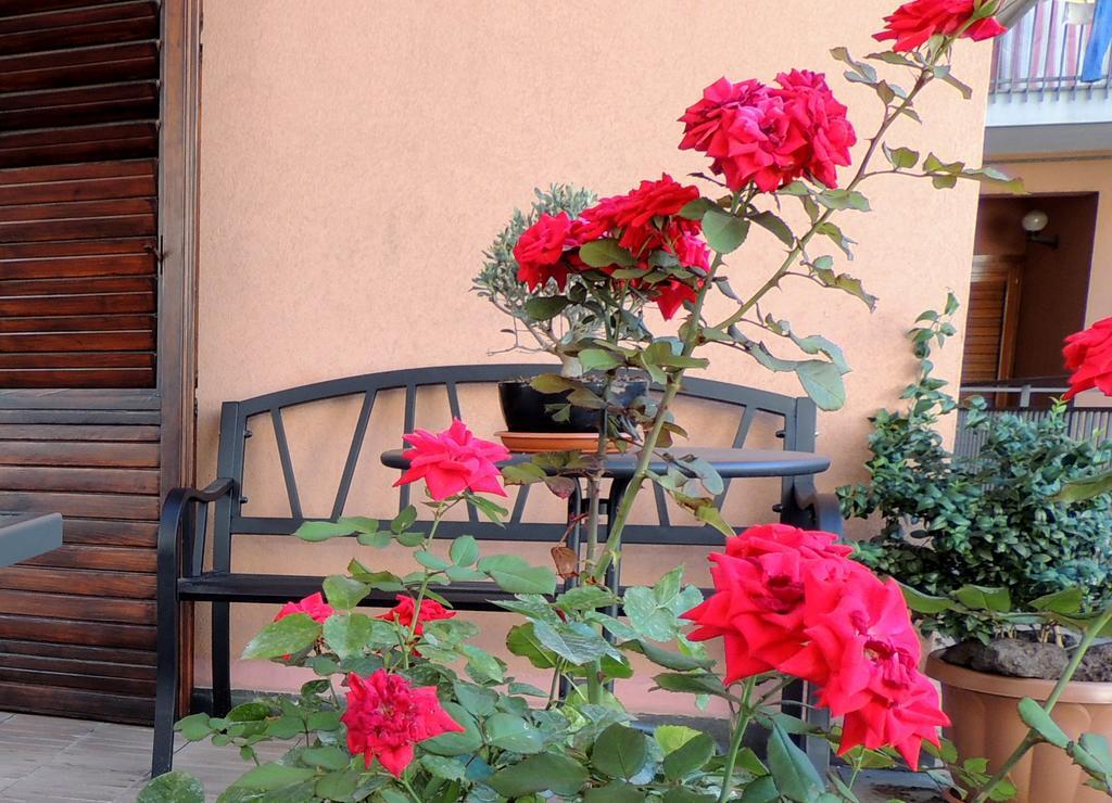 B&B Il Rosso E Il Nero Zafferana Etnea Εξωτερικό φωτογραφία