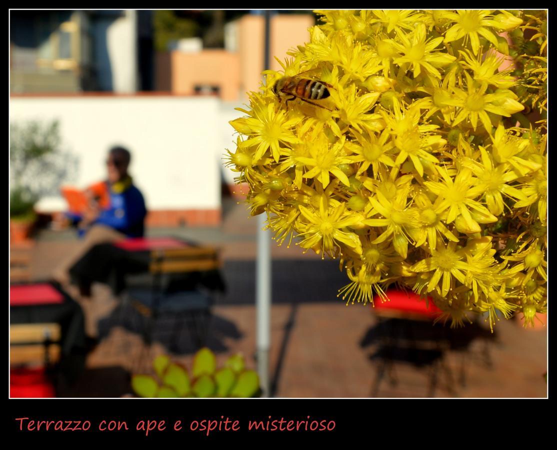 B&B Il Rosso E Il Nero Zafferana Etnea Εξωτερικό φωτογραφία